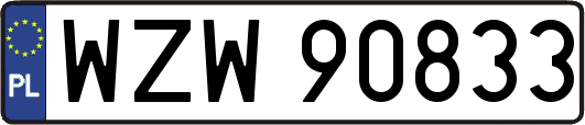 WZW90833