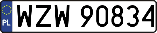 WZW90834