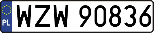 WZW90836