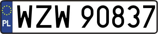 WZW90837