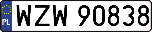 WZW90838
