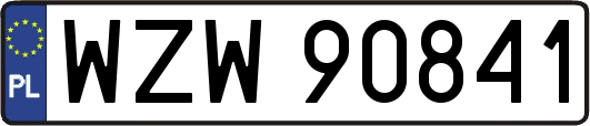 WZW90841