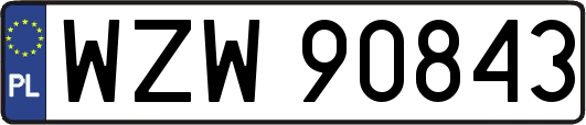 WZW90843