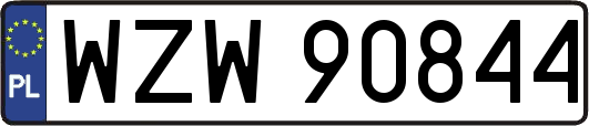 WZW90844