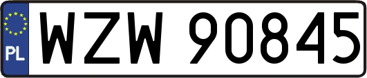 WZW90845