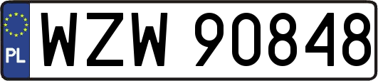 WZW90848