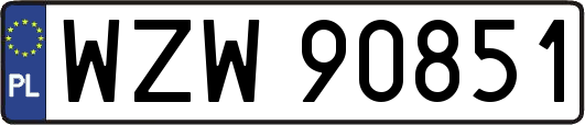 WZW90851
