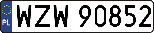 WZW90852