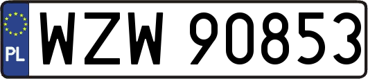WZW90853