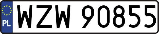 WZW90855