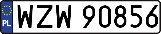 WZW90856