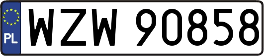 WZW90858