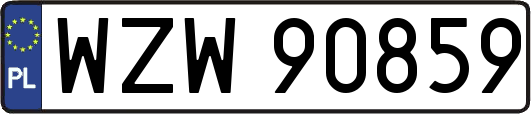WZW90859