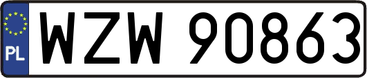 WZW90863
