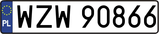 WZW90866