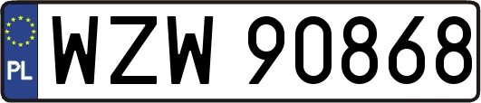 WZW90868