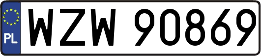 WZW90869