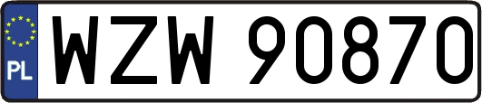 WZW90870