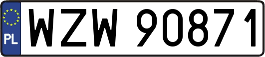 WZW90871