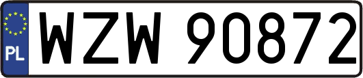 WZW90872