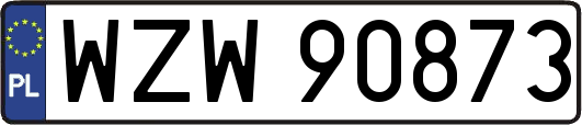 WZW90873
