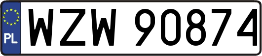 WZW90874
