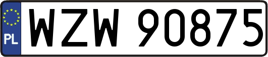 WZW90875