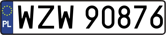 WZW90876
