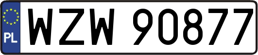 WZW90877
