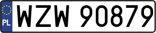 WZW90879