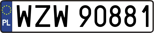 WZW90881