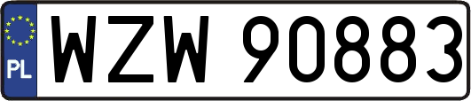 WZW90883