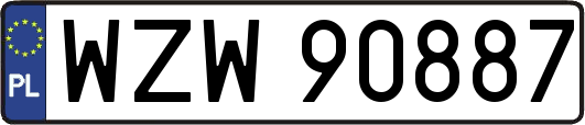 WZW90887
