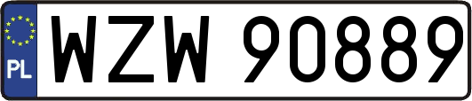 WZW90889