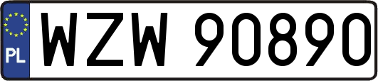 WZW90890