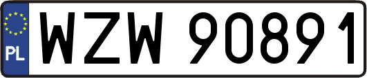 WZW90891