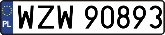 WZW90893