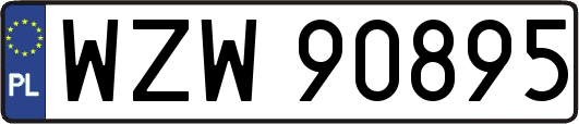 WZW90895