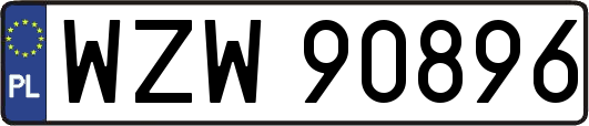 WZW90896