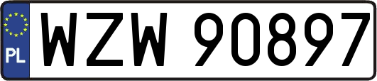 WZW90897