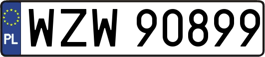 WZW90899