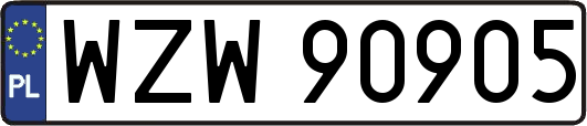 WZW90905
