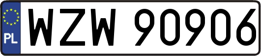 WZW90906