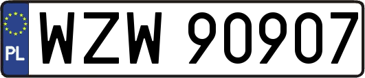 WZW90907