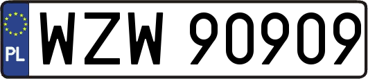 WZW90909
