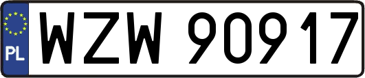 WZW90917