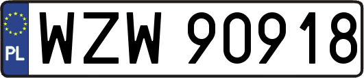 WZW90918