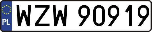 WZW90919