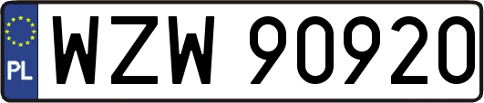 WZW90920