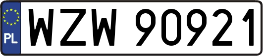 WZW90921
